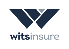 WitsInsure logo web small
